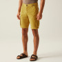 Pantaloncini da uomo Regatta Shorebay Shorts II