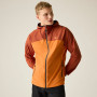 Giacca da uomo Dare 2b Endurance Softshell