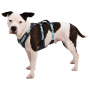 Pettorina per cane Ruffwear Flagline™ Harness