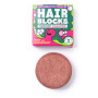Shampoo Shower Blocks Solid Shampoo - Mint & Grapefruit rosso