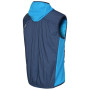 Gilet da uomo Direct Alpine Alpha Vest Men´s