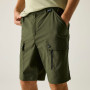 Pantaloncini da uomo Regatta Arlery Shorts