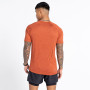 Maglietta da uomo Dare 2b Persist Tee
