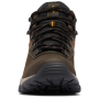 Scarpe da uomo Columbia Newton Ridge™ Plus II Waterproof
