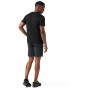 Maglietta da uomo Smartwool Merino Short Sleeve Tee Boxed