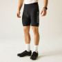 Pantaloncini da ciclismo da uomo Dare 2b Ecliptic III Short