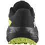 Scarpe da corsa da uomo Salomon Alphaglide Gore-Tex