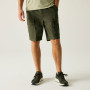 Pantaloncini da uomo Regatta Arlery Shorts