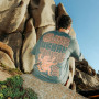 Maglietta da uomo Wild Country Sequence Man T-shirt
