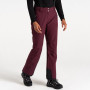 Pantaloni da sci da donna Dare 2b Diminish Pant