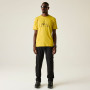 Maglietta da uomo Dare 2b Movement III Tee
