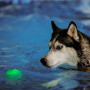 Giocattolo per cane Nite Ize GlowStreak Wild LED Ball