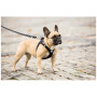 Guinzaglio per cane Curli Adjustable Leash Nylon