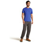 Maglietta funzionale da uomo Icebreaker Men Merino Core SS Tee