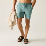 Pantaloncini da uomo Regatta Hadlin Shorts