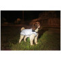Impermeabili per cani Mountain Paws Reflective Fleece-Lined Dog Raincoat