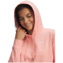 Felpa da donna Under Armour Sport Terry Hoodie