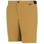 Pantaloncini da uomo Regatta Anti-Insect Travel Light Shorts