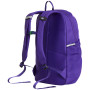 Zaino per la scuola media The North Face Y Court Jester