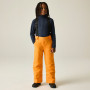 Pantaloni da sci per bambini Dare 2b Outmove III Insulated Pant ElectricOrng