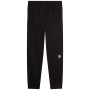 Pantaloni da tuta da uomo The North Face M Mountain Athletics Fleece Pant 2.0