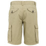 Pantaloncini da uomo Regatta Shorebay Shorts II