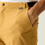 Pantaloncini da uomo Regatta Anti-Insect Travel Light Shorts