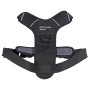 Pettorina per cane Mountain Paws Dog Harness