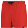 Costume da bagno da uomo Regatta Mawson Swim Shorts III