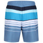 Pantaloncini da uomo Regatta Loras Swim Short m