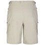 Pantaloncini da uomo Dare 2b Tuned In Short II