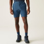 Pantaloncini da uomo Regatta Travel Light Packaway Shorts