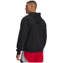 Felpa da uomo Under Armour Rival LW Hoodie