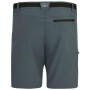 Pantaloncini da uomo Regatta Xert Stretch Shorts