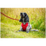 Pettorina per cane Mountain Paws Dog Harness