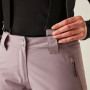 Pantaloni da sci da donna Dare 2b Diminish Pant