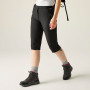 Pantaloni a 3/4 da donna Regatta Women’s Xert Stretch Capri Light