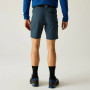 Pantaloncini da uomo Regatta Xert Stretch Shorts