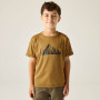 Maglietta da bambino Regatta Alvarado Wood Brown