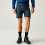 Pantaloncini da uomo Regatta Xert Stretch Shorts