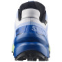 Scarpe da corsa da uomo Salomon Speedcross 6 GTX Icon