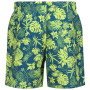 Pantaloncini da uomo Regatta Loras Swim Short m