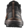 Scarpe da uomo Salomon X Ultra 360 Gore-Tex