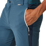 Pantaloncini da uomo Regatta Mountain ShortsII M