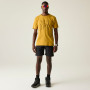 Maglietta da uomo Dare 2b Movement III Tee