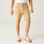 Pantaloncini da uomo Regatta Sabden Short