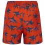 Costume da bagno per bambini Regatta Skander RusOranShark