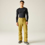 Pantaloni da uomo Dare 2b Baseplate Insulated Pant