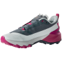 Scarpe da corsa da donna Dynafit Transalper 2 Gtx W