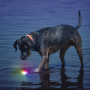 Giocattolo per cane Nite Ize Glowstreak LED Ball